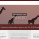 Giraffe Strategy - Small Business Website Content by Purple Gen