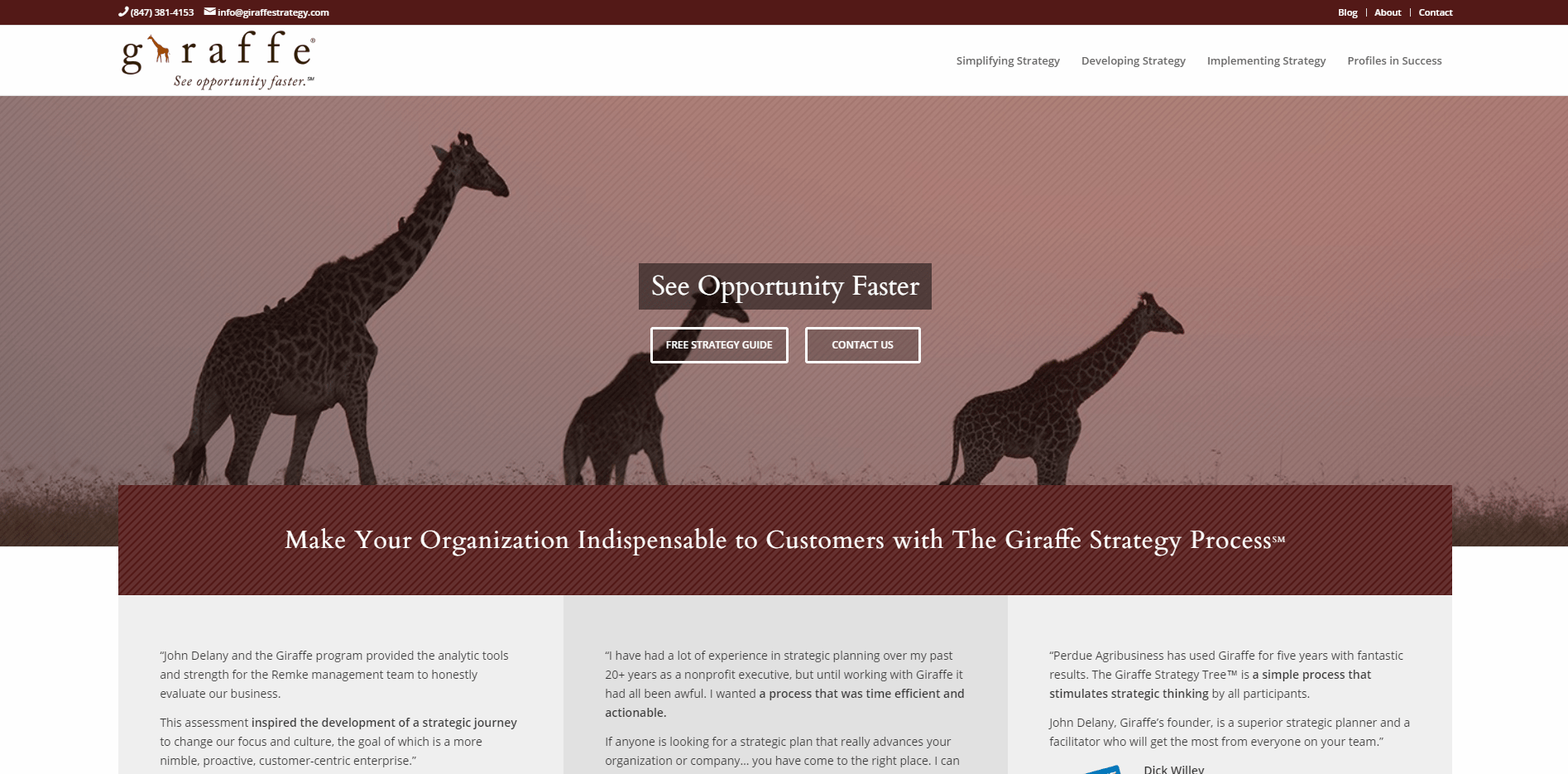 Giraffe Strategy - Small Business Website Content by Purple Gen
