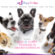 Playing Fur Keeps Dog Training Website Design by Purple Gen - Purple-Gen.com